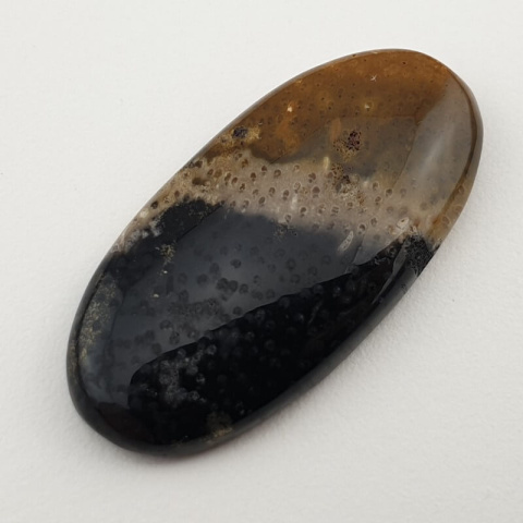 Agat palmowy kaboszon 35x17 mm nr 19 Agat palmowy kaboszon 35x17 mm nr 19