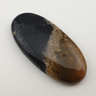 Palm root agate cabochon 35x17 mm no 19