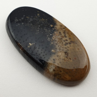 Palm root agate cabochon 35x18 mm no 8