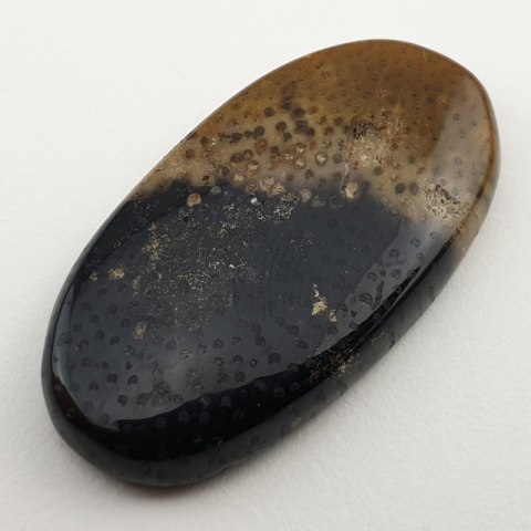 Palm agate cabochon 35x18 mm no 8 Palm agate cabochon 35x18 mm no 8