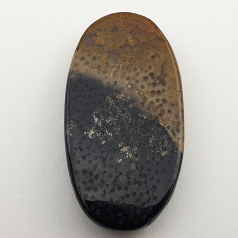 Palm agate cabochon 35x18 mm no 8 Palm agate cabochon 35x18 mm no 8