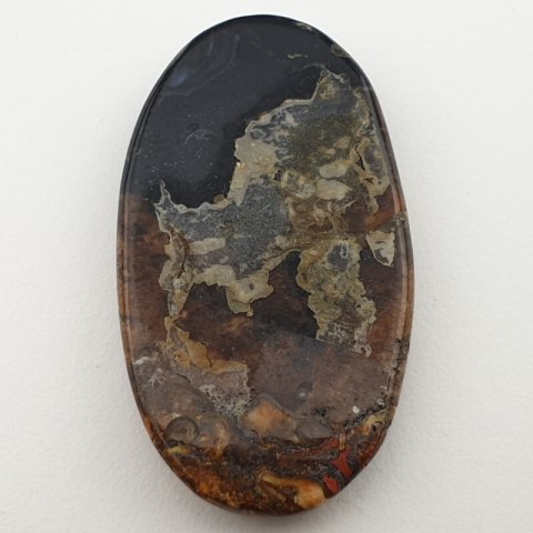 Palm root agate cabochon 40x23 mm no 28 Palm root agate cabochon 40x23 mm no 28