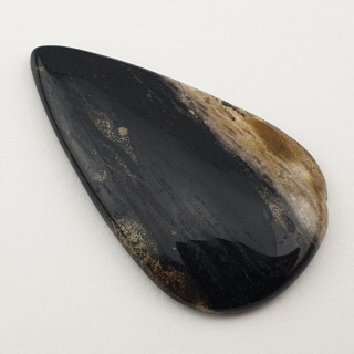 Palm root agate cabochon 40x23 mm no 6