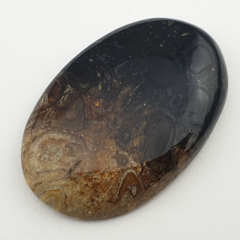 Palm root agate cabochon 40x26 mm no. 3 Palm root agate cabochon 40x26 mm no. 3