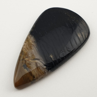 Palm root agate cabochon 41x23 mm no 23