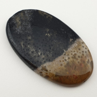 Palm root agate cabochon 41x24 mm no 7