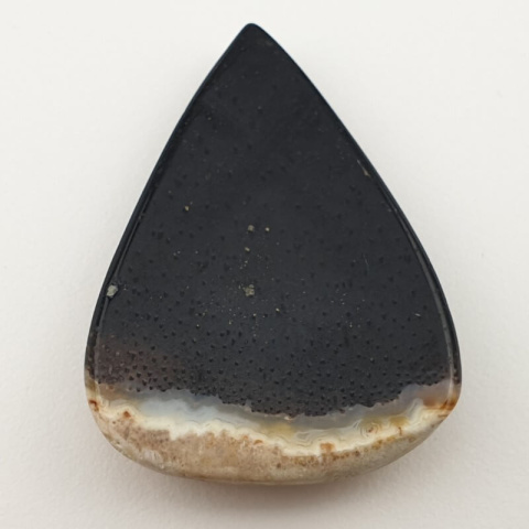 Palm agate cabochon 42x30 mm no 29 Palm agate cabochon 42x30 mm no 29