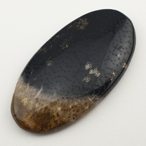 Palm root agate cabochon 43x22 mm no 5 Palm root agate cabochon 43x22 mm no 5