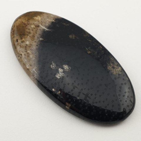 Palm root agate cabochon 43x22 mm no 5 Palm root agate cabochon 43x22 mm no 5