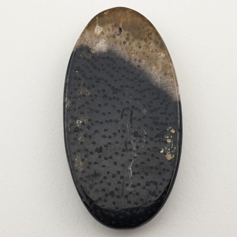 Palm root agate cabochon 43x22 mm no 5 Palm root agate cabochon 43x22 mm no 5