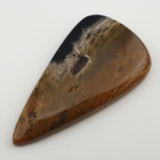 Palm root agate cabochon 43x23 mm no 16