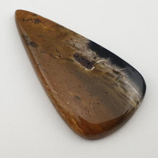 Palm root agate cabochon 43x23 mm no 16