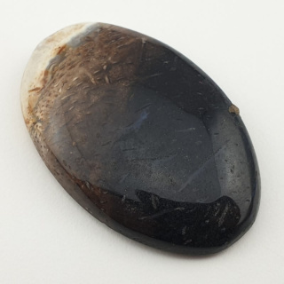 Palm root agate cabochon 43x29 mm no 42