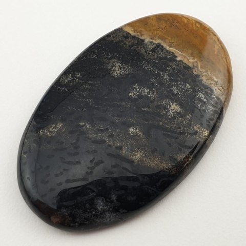 Palm root agate cabochon 44x27 mm no 22 Palm root agate cabochon 44x27 mm no 22