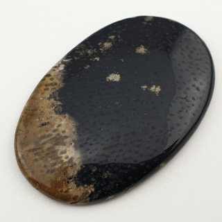 Palm root agate cabochon 45x29 mm no 10