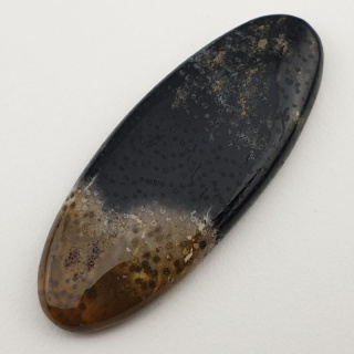 Palm root agate cabochon 48x18 mm no 12