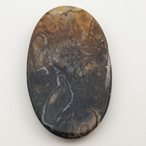 Palm root agate cabochon 49x30 mm no 63 Palm root agate cabochon 49x30 mm no 63