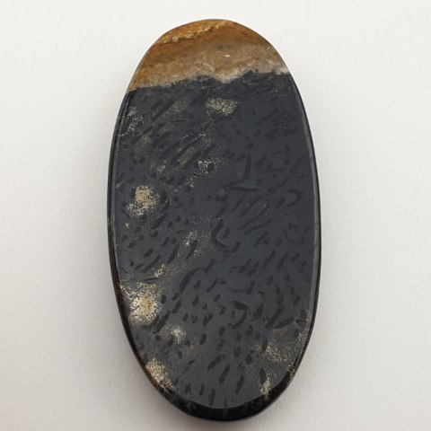 Palm agate cabochon 53x27 mm no 39 Palm agate cabochon 53x27 mm no 39