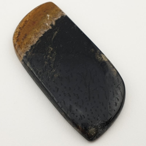 Palm agate cabochon 54x25 mm no. 40 Palm agate cabochon 54x25 mm no. 40