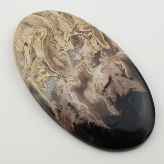 Palm root agate cabochon 56x32 mm no 61