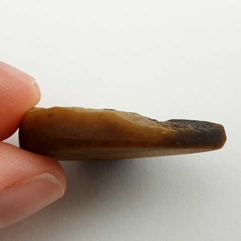 Tiger's eye cabochon raw 30x26 mm no 7 Tiger's eye cabochon raw 30x26 mm no 7