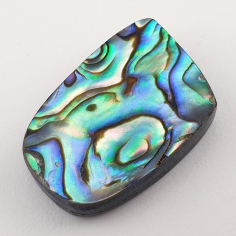 Paua Abalone kaboszon 2,8x1,9 cm nr 86 Paua Abalone kaboszon 2,8x1,9 cm nr 86