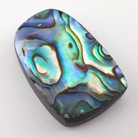 Paua Abalone kaboszon 2,8x1,9 cm nr 86 Paua Abalone kaboszon 2,8x1,9 cm nr 86