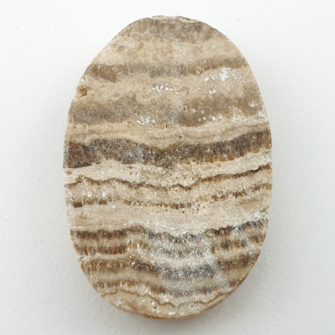 Aragonite cabochon 35x23 mm no. 45 Aragonite cabochon 35x23 mm no. 45