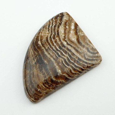 Aragonit kaboszon 4,0x2,8 cm nr 12 Aragonit kaboszon 4,0x2,8 cm nr 12