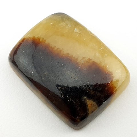 Septaria cabochon 30x23 mm no. 76 Septaria cabochon 30x23 mm no. 76