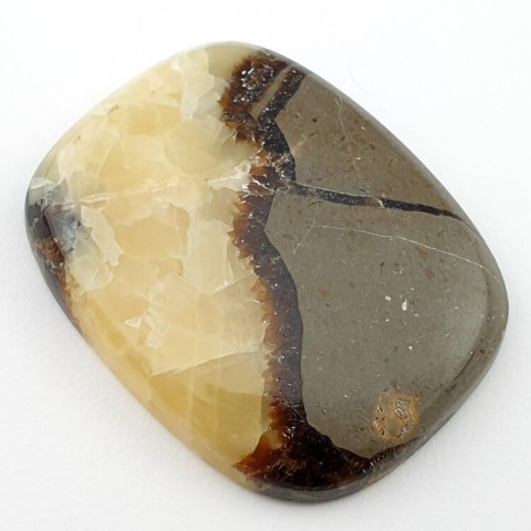 Septaria cabochon 40x32 mm no. 59 Septaria cabochon 40x32 mm no. 59