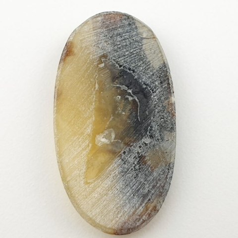 Septarian cabochon 41x22 mm no 70 Septarian cabochon 41x22 mm no 70