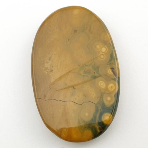 Ocean jasper cabochon 5.2x3.3 No. 5 Ocean jasper cabochon 5.2x3.3 No. 5