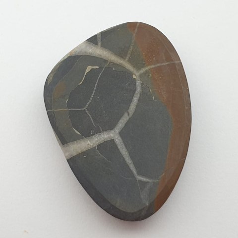 Septaria cabochon 3.9x2.8 cm no. 47 Septaria cabochon 3.9x2.8 cm no. 47