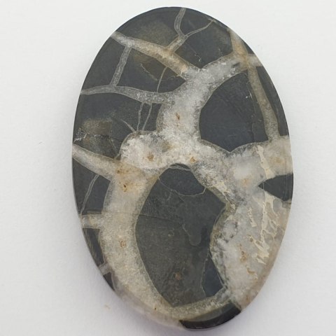 Septaria cabochon 4.5x2.9 cm no. 50 Septaria cabochon 4.5x2.9 cm no. 50