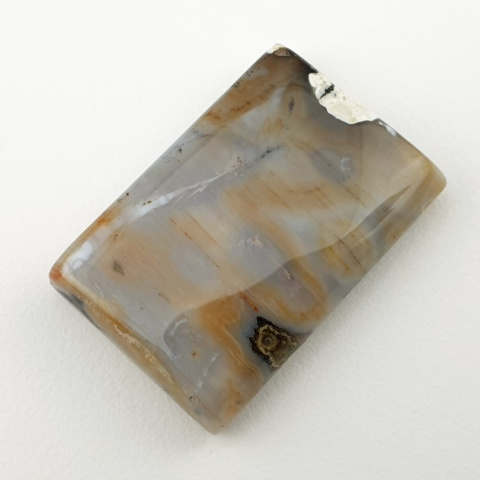 Ocean jasper cabochon 2.9x1.9 no 25 Ocean jasper cabochon 2.9x1.9 no 25