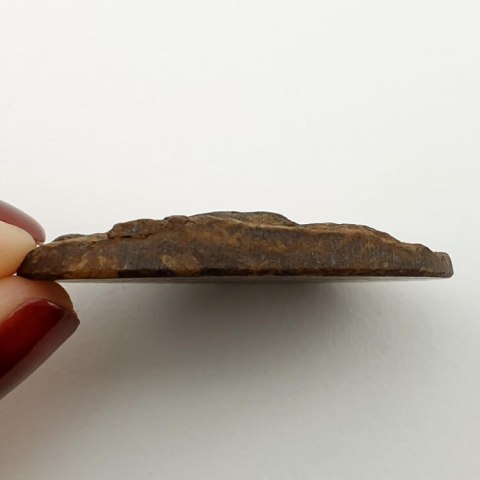 Bronzyt kaboszon surowy 39x28 mm nr 12 Bronzyt kaboszon surowy 39x28 mm nr 12