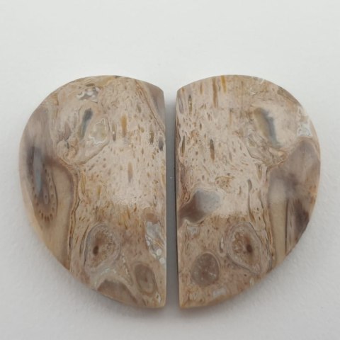 Palm agate pair of cabochons 2.5x1.5 cm no. 3 Palm agate pair of cabochons 2.5x1.5 cm no. 3