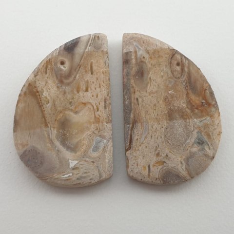 Palm agate pair of cabochons 2.5x1.5 cm no. 3 Palm agate pair of cabochons 2.5x1.5 cm no. 3