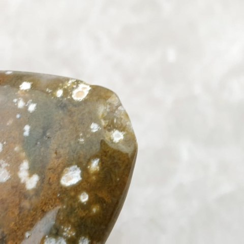 Jaspis oceaniczny kaboszon 4,1x3,4 cm nr 36 Jaspis oceaniczny kaboszon 4,1x3,4 cm nr 36