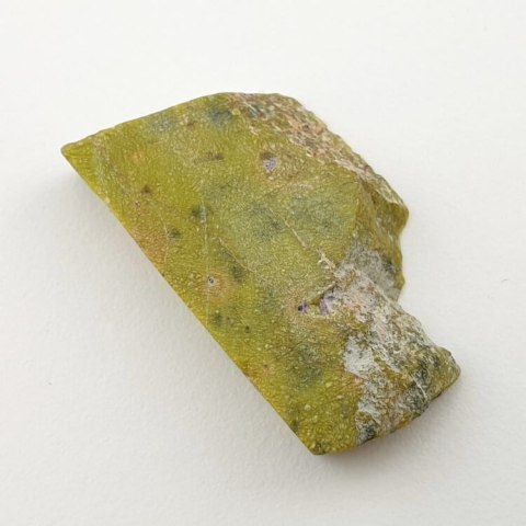 Atlantisite cut raw 32x19 mm No 32 Atlantisite cut raw 32x19 mm No 32