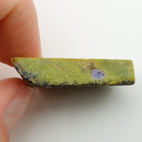 Atlantisite cut raw 32x23 mm No 42 Atlantisite cut raw 32x23 mm No 42