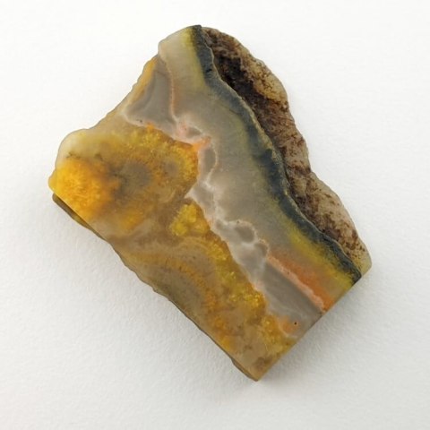 Bumblebee jasper cut raw 28x23 mm No 21 Bumblebee jasper cut raw 28x23 mm No 21