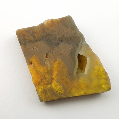 Bumblebee jasper cut raw 28x25 mm No 15 Bumblebee jasper cut raw 28x25 mm No 15