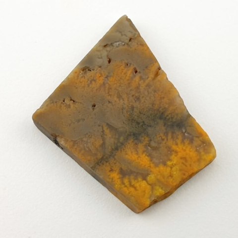 Bumblebee jasper cut raw 31x25 mm No 41 Bumblebee jasper cut raw 31x25 mm No 41