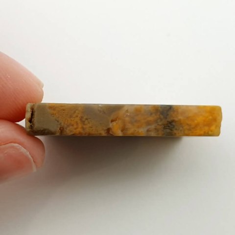 Bumblebee jasper cut raw 31x25 mm No 41 Bumblebee jasper cut raw 31x25 mm No 41