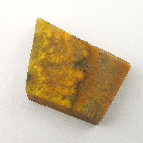 Bumblebee jasper cut raw 25x19 mm No 81 Bumblebee jasper cut raw 25x19 mm No 81