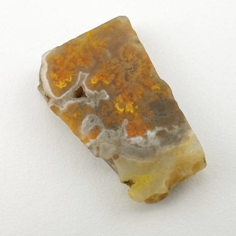 Bumblebee jasper cut raw 31x19 mm no 72 Bumblebee jasper cut raw 31x19 mm no 72