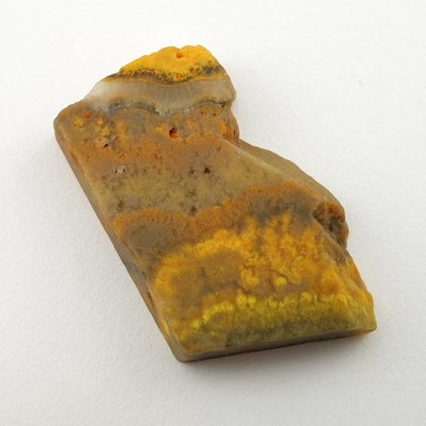 Bumblebee jasper cut raw 33x21 mm No 70 Bumblebee jasper cut raw 33x21 mm No 70