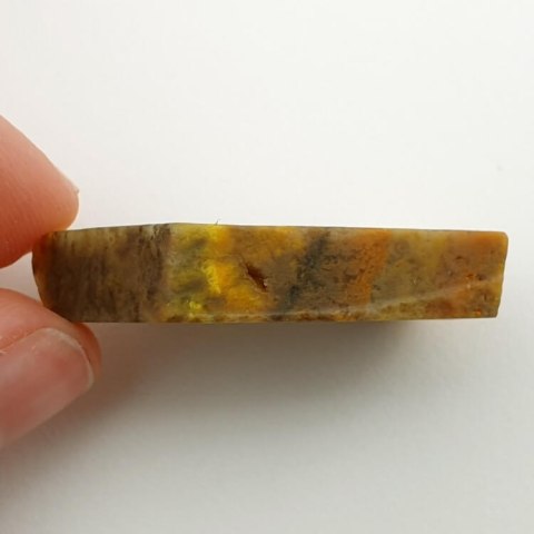 Bumblebee jasper cut raw 33x21 mm No 70 Bumblebee jasper cut raw 33x21 mm No 70
